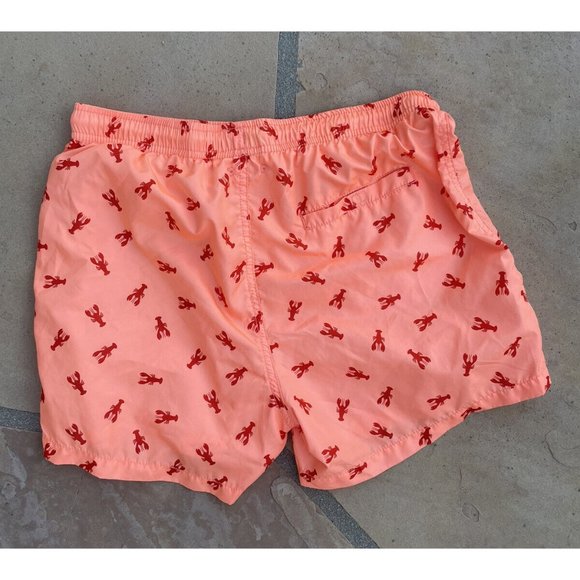 Zara Swim New Zara Boys Lobster Print Swim Bathing Suit Shorts Sz